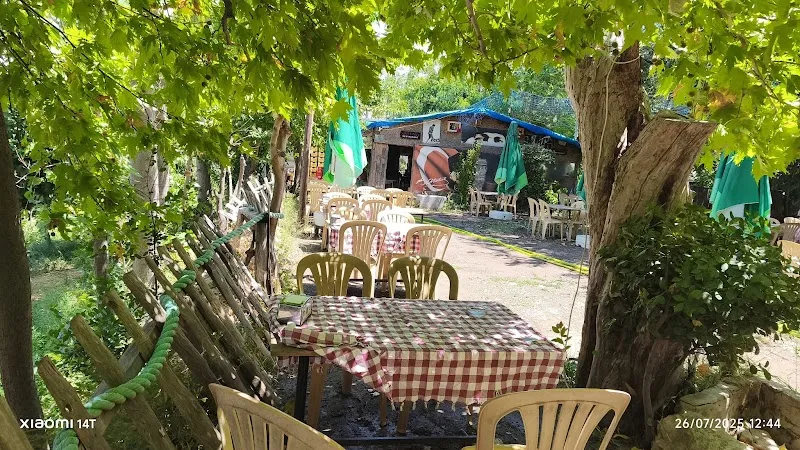 ARTEMIS RESTORAN görünüm