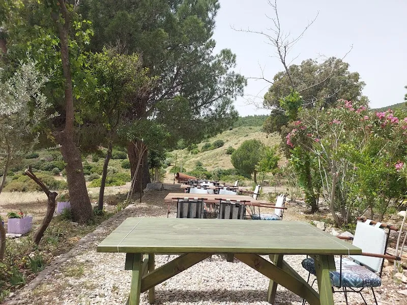 MANZARA CAFE ESKİDOĞANBEY görünüm