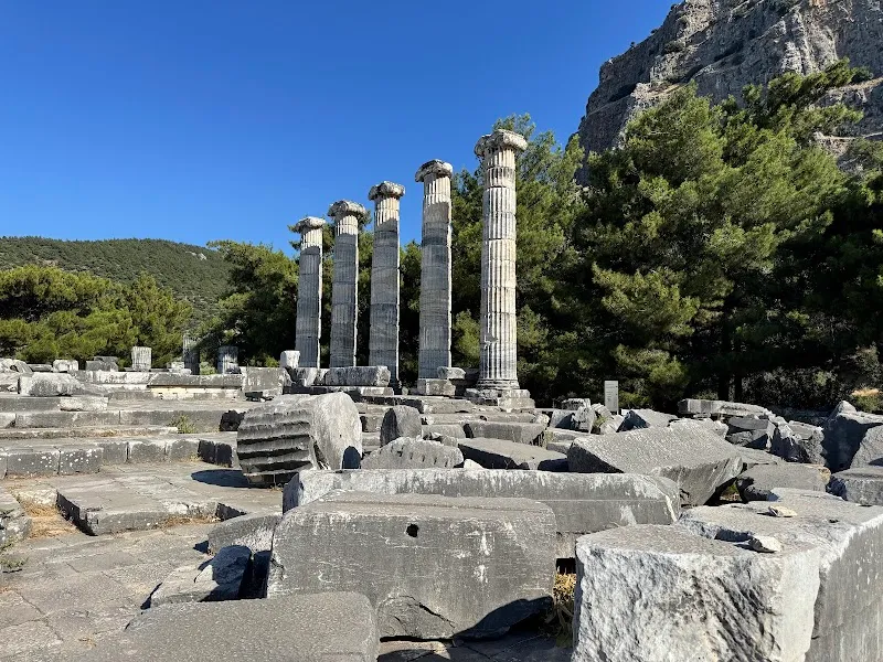 Priene Ören Yeri