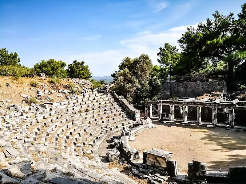 Priene Ören Yeri detay