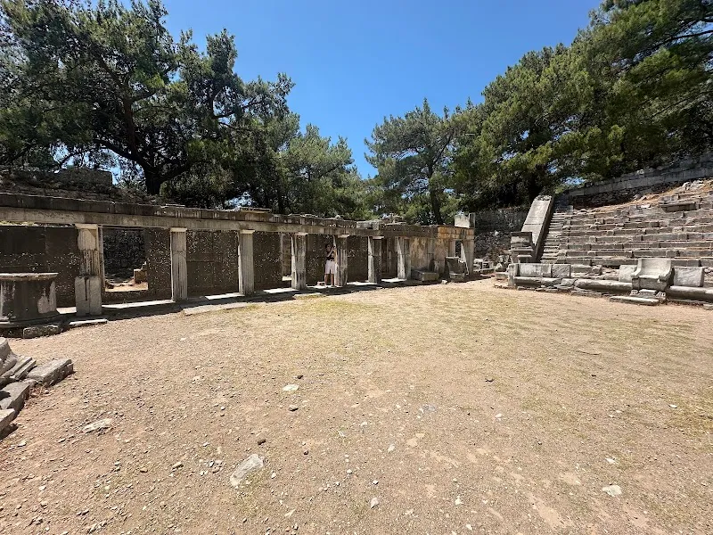 Priene Ören Yeri görünüm