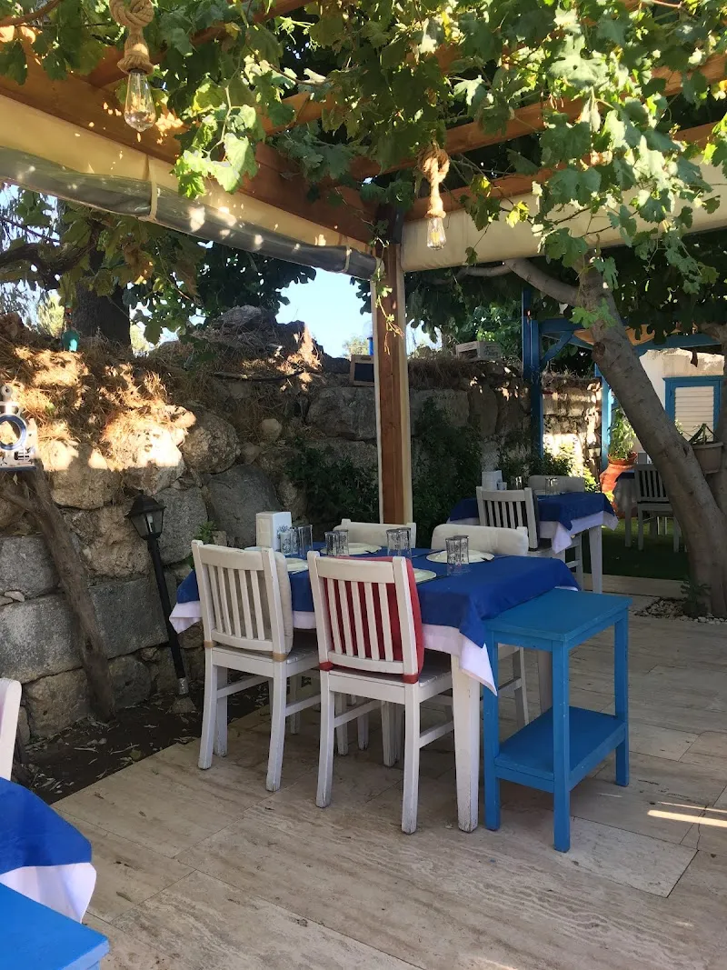 Şerefe 41 Sığacık Meyhanesi - Meze & Balık
