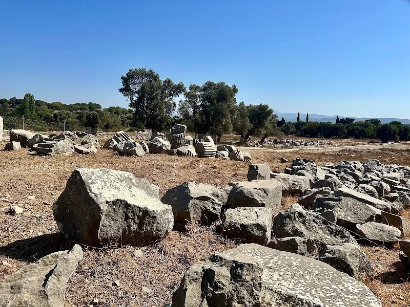 Teos Antik Kenti detay